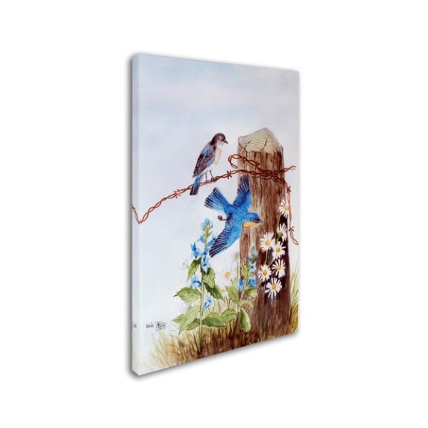 Arie Reinhardt Taylor 'Bluebirds With Daisies' Canvas Art,12x19